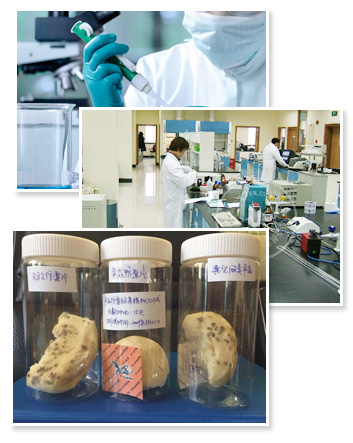 如何選購(gòu)防霉片